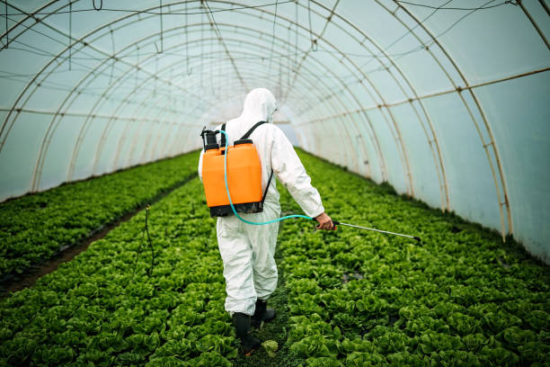 Best Best Pest Control Companies  in Rehoboth Beach, DE