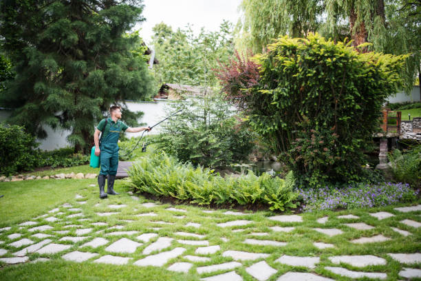Best Best Pest Control Companies  in Rehoboth Beach, DE