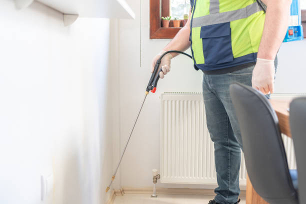Trusted Rehoboth Beach, DE Pest Control Experts