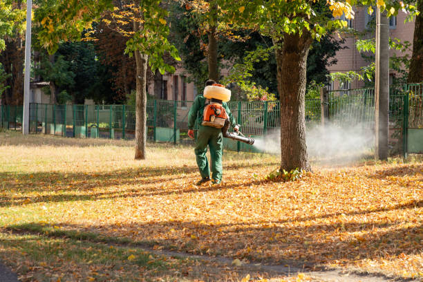 Best Wasp Removal Services  in Rehoboth Beach, DE